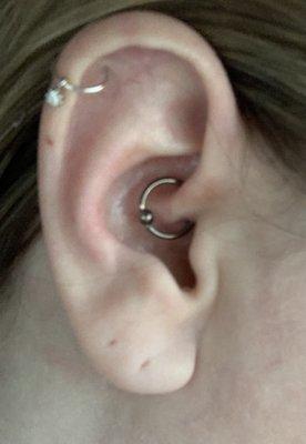 Daith piercing from Skin Deep