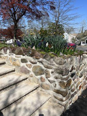 AFTER--repointed stone wall, right of stairs