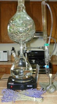 Essential Oil Steam Distillation Unit