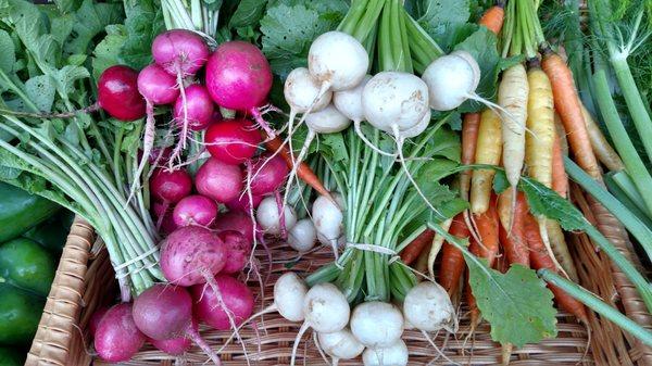 Nice Root Veggies from Winslow's Farm Stand