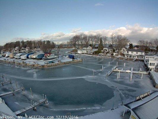 Wilson Harbor in the winter via WCEC, Inc.'s harbor cam.