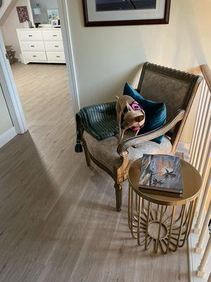 Flooring hallway to bedroom