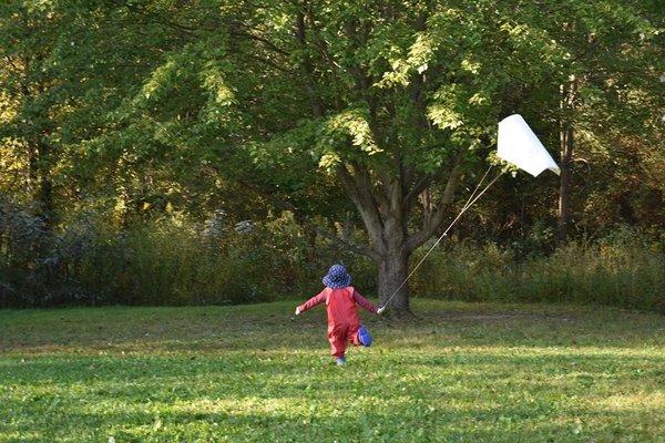 Kite flying day!