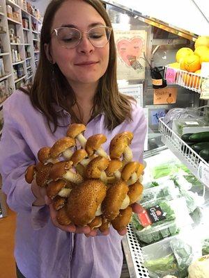 Locally Grown Organic Chestnut Mushrooms