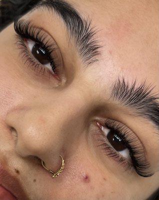 HYBRID LASHES