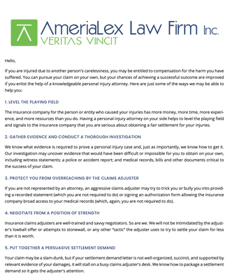 AmeriaLex Law Firm Inc.