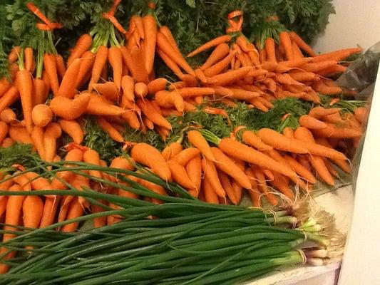 Meadow Valley Farm CSA