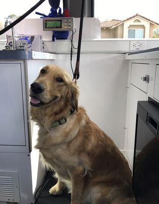 Happy patient!