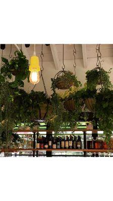 We hand crafted these hanging baskets for True Foods in Newport Coast.