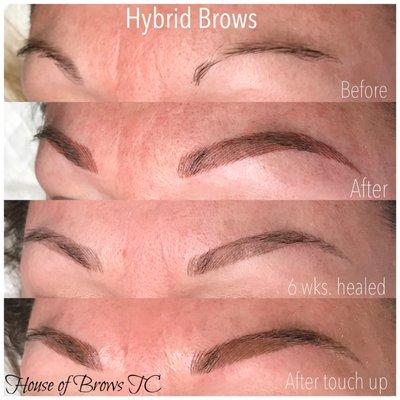 Hybrid Brows along the process.