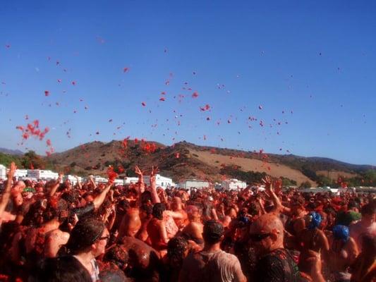 tomato battle, pic by yayplanner