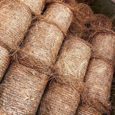 Gorgeous pine straw - you won't find it any more beautiful than at Hartley Equipment