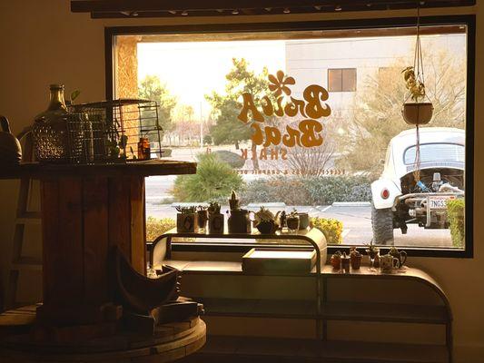 plants and store window