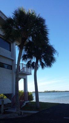 Our beautiful office on Lemon Bay!