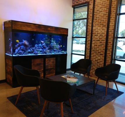 260 Gal Saltwater Reef tank w/ Custom Design Cabinetry