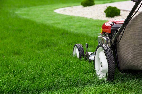 Offering Professional Lawn Maintenance.