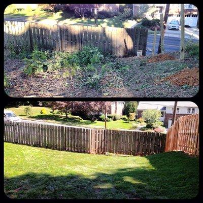 Brush Clearing and SOD Removal