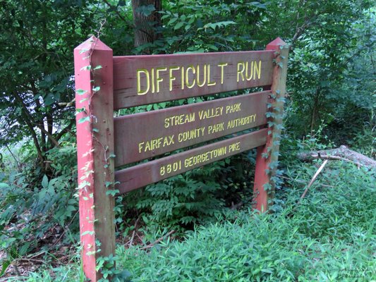 Welcome to Difficult Run Stream Valley Park.