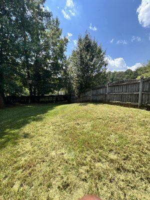 Over grown yard after picture