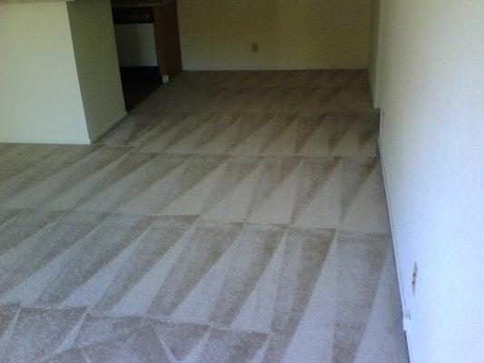 My Carpets look great now.. Thanks Shawn you are the best Carpet Guy Ever!!