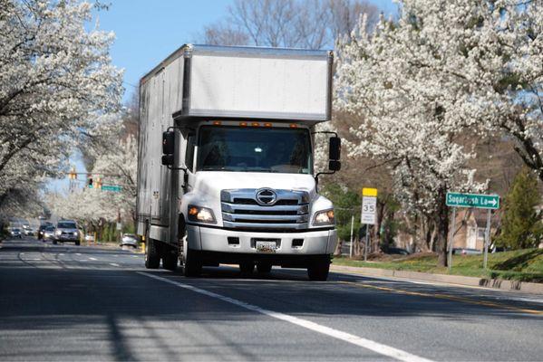 Moving truck cherry blossom