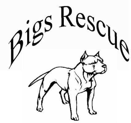 Bigs Rescue