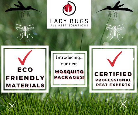 We offer monthly mosquito yard treatments with entirely eco-friendly and pet safe solutions!