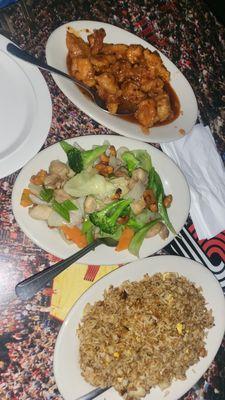 Combo meal B. General Tso, cashew chicken and pork fried rice