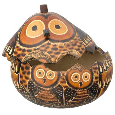 Owl mom and chick gourd box