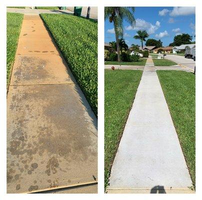 Iron stain removal from sprinklers in Naples. Came out great