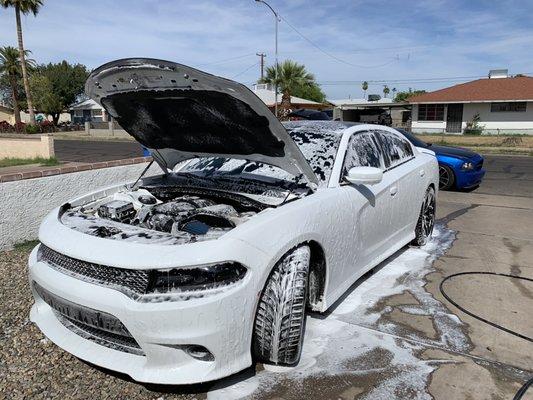 Wash and wax and engine detail