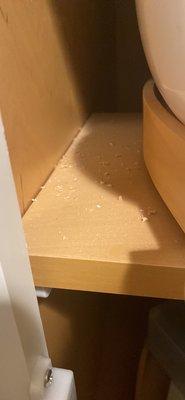 There is an example of all the saw dust they just left behind in the cabinets.