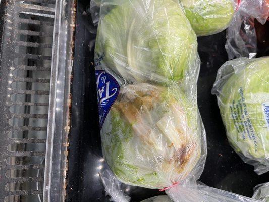 Absolutely the most rotten lettuce I've ever seen in a store!