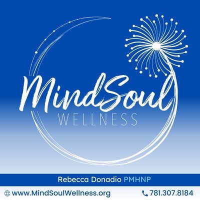 Mind soul wellness logo serving Massachusetts and FLorida via telehealth