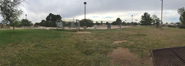 McKellips Dog Park