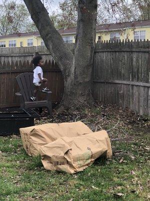 Trunk from tree that was removed