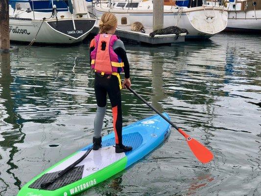 Checking on Mary & Bob, our local Santa Cruz Harbor Seals!