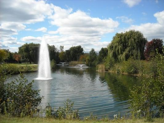 Pond and Lake Management