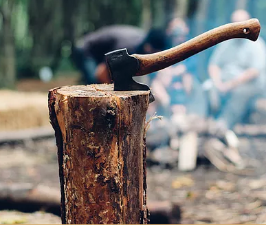 Axecessive Force - Mobile Axe Throwing