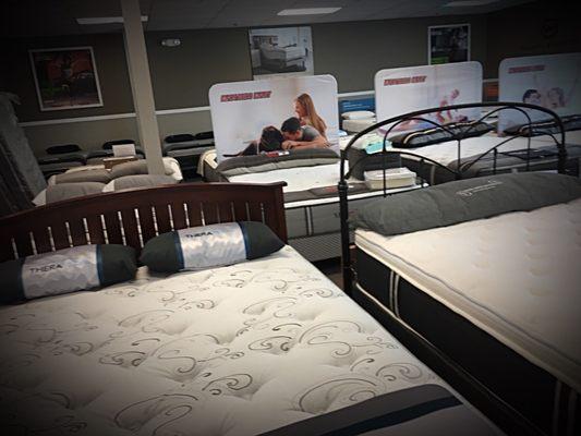 View of some mattress options