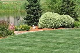 Vinson Landscaping & Maintenance