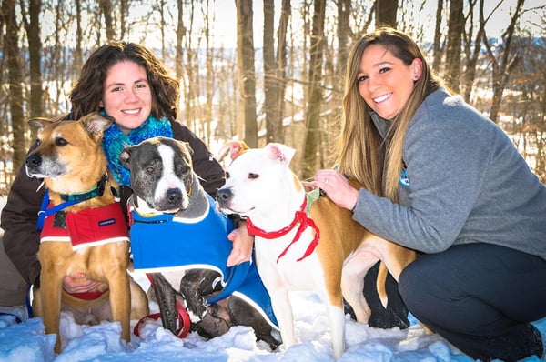 Meet Drs Mehaffey and Heller, the heart and soul of Pennridge Animal Hospital.