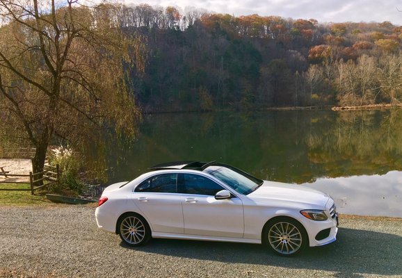 Scenic shot at the lake