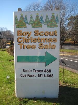 Broomall Scout Trees