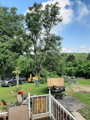 Northmen Excavating & Tree Service