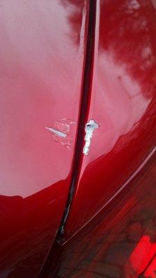 This is the damage to the TOP OF MY TRUNK caused by a negligent garage attendant here.  The Vice President then denied my claim of damage.