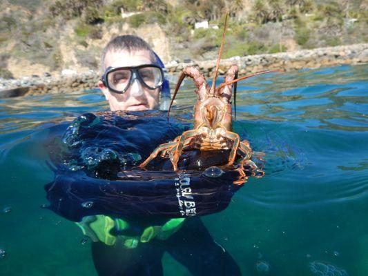 Lobster beach dive, Malibu. Bill Hazelton diver