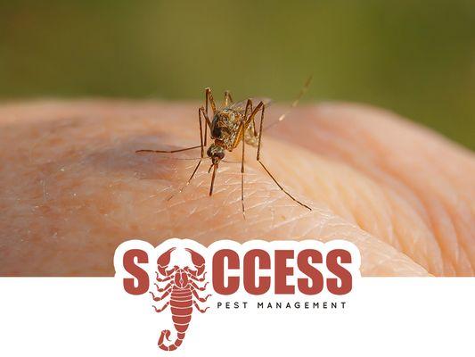 Success Pest Management