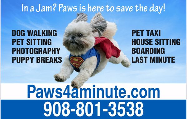 Paws4aminute list of services