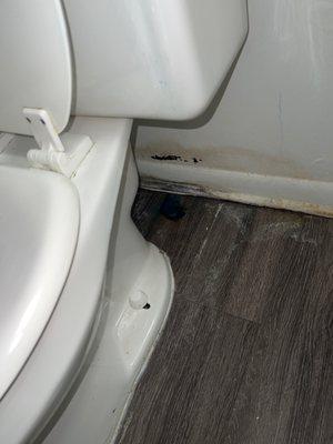 Toilet leak